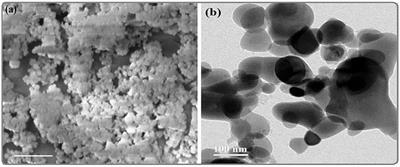 Investigating the anticancer efficacy of biogenic synthesized MgONPs: An in vitro analysis